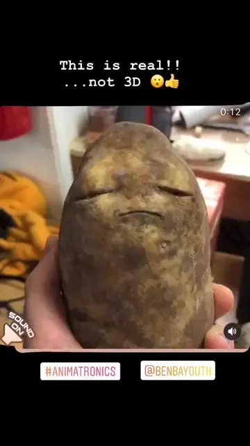 This a real robotic potato not 3D. Built for @tierrawhackofficial music video 👌