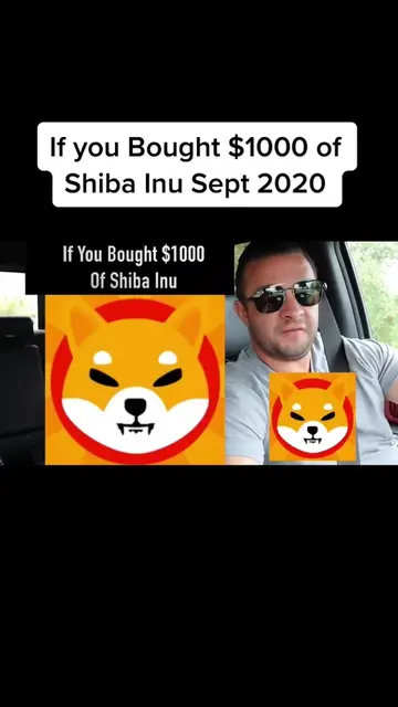 If you bought $1000 of Shiba Inu Sept 2020 #cryptocurrency #crypto #investor #ti