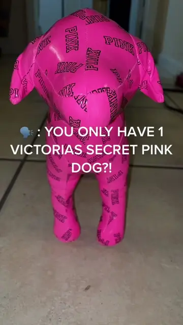 Love Pink 💖😂🐶 #viral #trending #fypシ #collection 