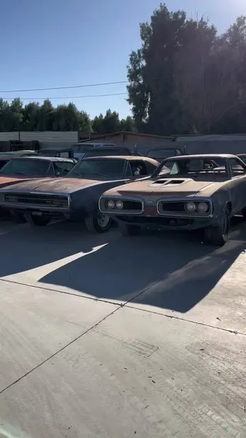 Dodge family + the gtx #hellcat #hellcatswap #coronet #superbee #fc7 #plumcrazy 