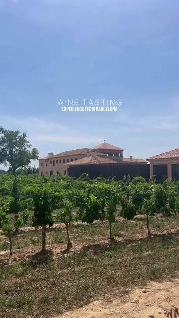 Come wine tasting with me from Barcelona! Follow to see more unique things to do