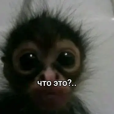 текст для красоты.#2020 #2016 #хочуоливье #врек 