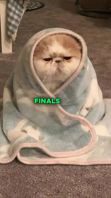 #NerdyChat got your back during this finals season ✨ Download now! #appsforstude