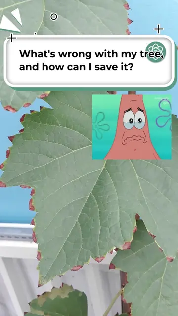 Chat Smith plz Safe my Tree. 🌴🌳🏡 #LearnOnTikTok #tree #chatsmith #shorts #ide