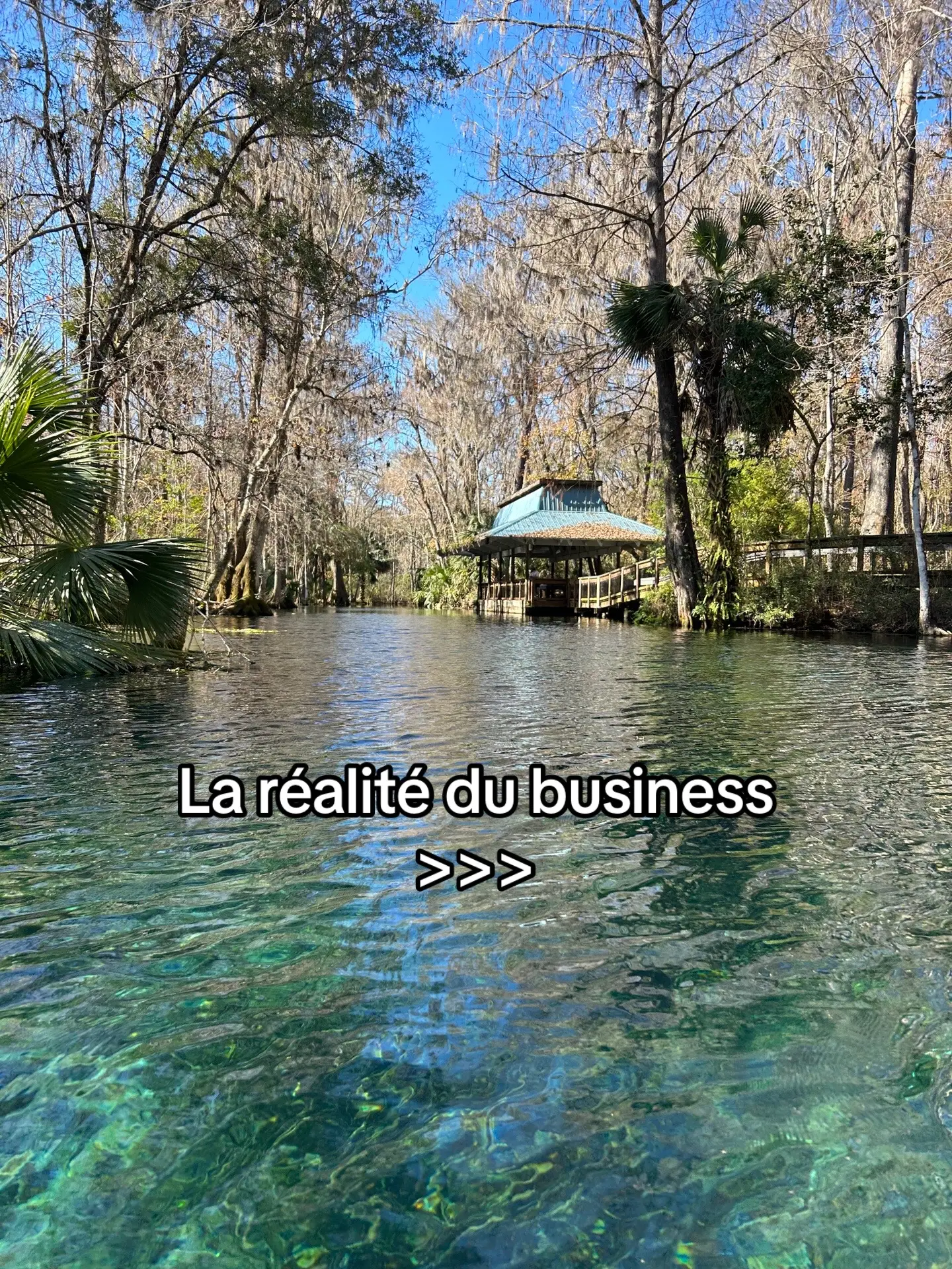 Réalité du Business 🫢
