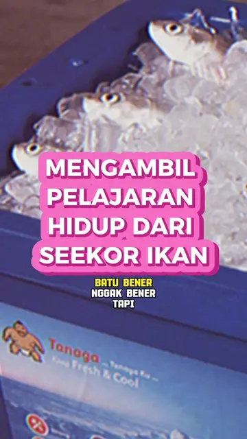 ✨PELAJARAN PENTING‼️KITA BELAJAR DARI SEEKOR IKAN‼️   #inspirasi #kisahinspirasi