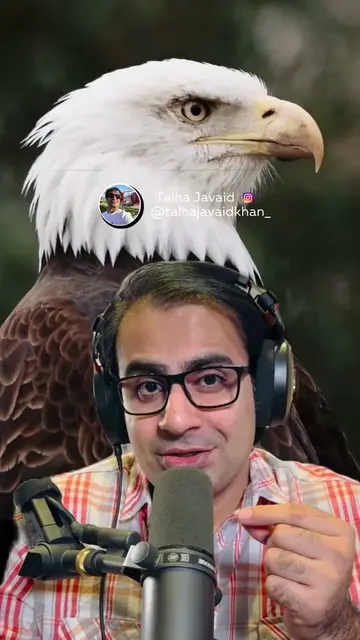 The Eagle Mentality 🦅🦅🦅 . . . . . . . . . . #talhajavaidkhan #BestMotivationa