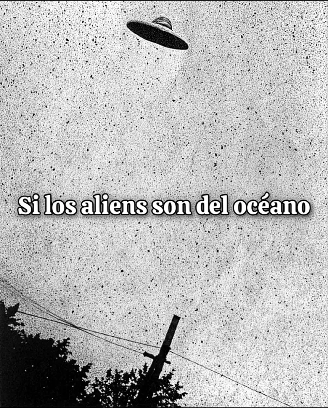 Los peces son de la galaxia ? #aliens #ovnis #viral #peces #foryou 