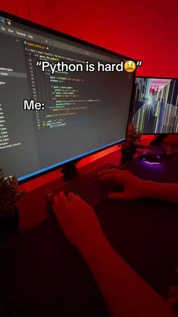 Python or Assembly? 🤔