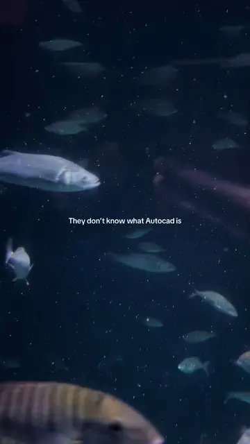 They have no idea AutoCAD exists… just swimming freely, unaware of the struggles