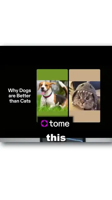 Create Quick Presentations with AI! | ft. @magicaltome • 👉 Comment “Ai generate