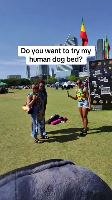 Do you want to try my human dog bed? 