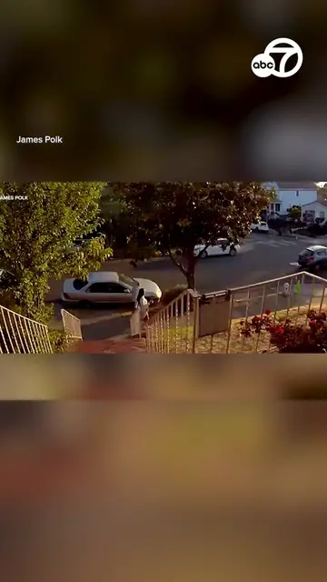 Warning: This video may be disturbing to some. Dramatic doorbell footage capture