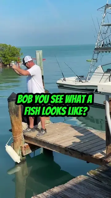 "I wonder why they call it a parrot fish?" 🤣 #parrot #chillnreel #fishing #gift