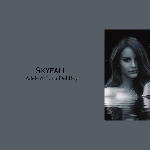 #skyfall #lanadelrey #adele #slow #fy #spotify #lyric #lyrics_songs #song #song 