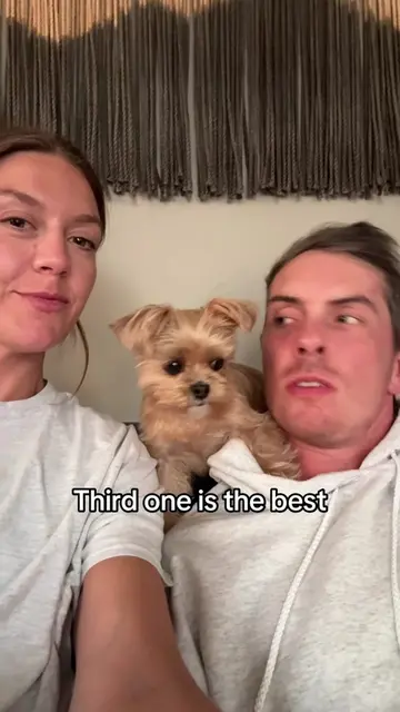 We love you Susie! #shorkie #dogsoftiktok 