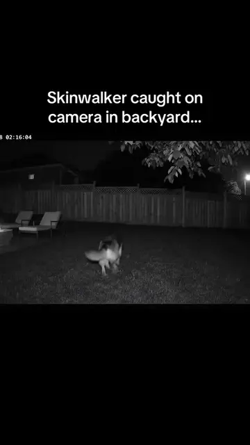 😳😳😳 #skinwalker #caughtoncamera                                              