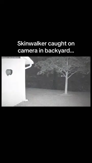 😳😳 #skinwalker #caughtoncamera #funny 