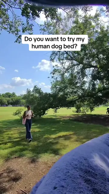 Do you want to try my human dog bed? 