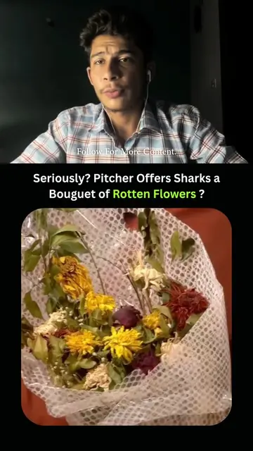 A bouquet of rotten flowers? Seriously?! That’s how Annu Grover kicked off his S