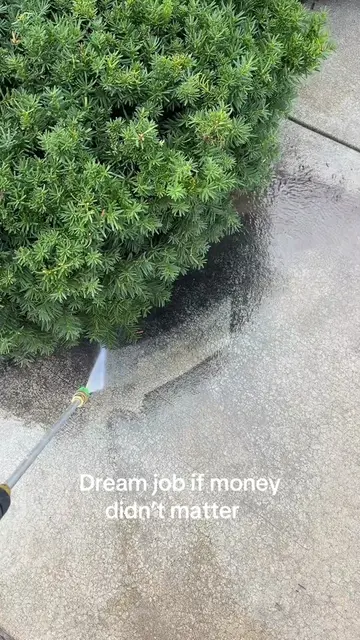 I could literally do this all day long #powerwashing #dreamjob #fyp 