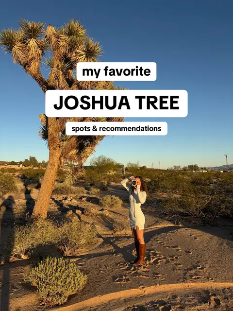 #joshuatree #joshuatreecalifornia #thingstodo #recommendations #weekendtrip 