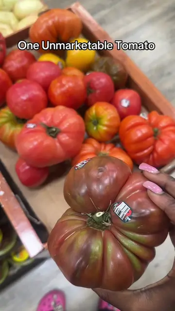 That poor guy mutated af #unmarketabletomato 