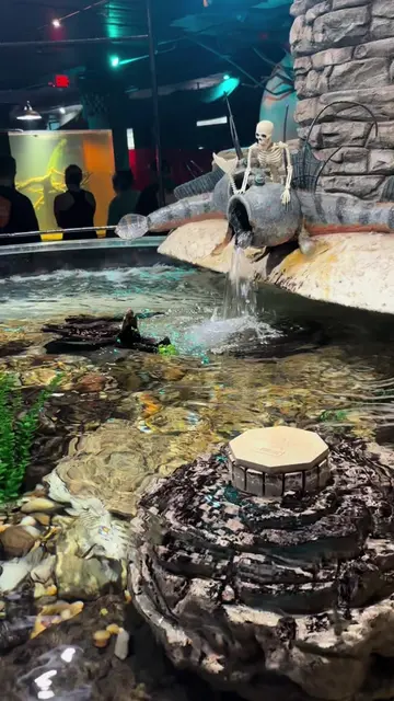 The Victorious fish are REAL 😳🐠 Come to City Museum’s ArtQuarium to meet the D