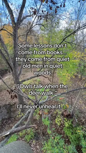 He wasn’t wrong💯 #owl #hunting #nature #wisdom #fyp 
