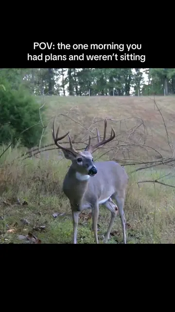 can’t make it up #deer#deerhunting#buck#Outdoors