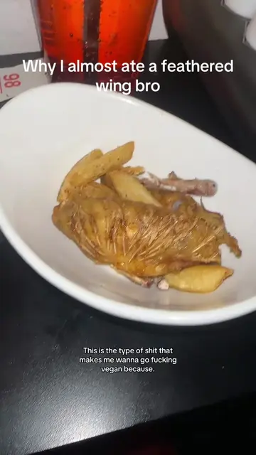 I’ve never seen this many on one before how they let this shit slide 😕 #feather