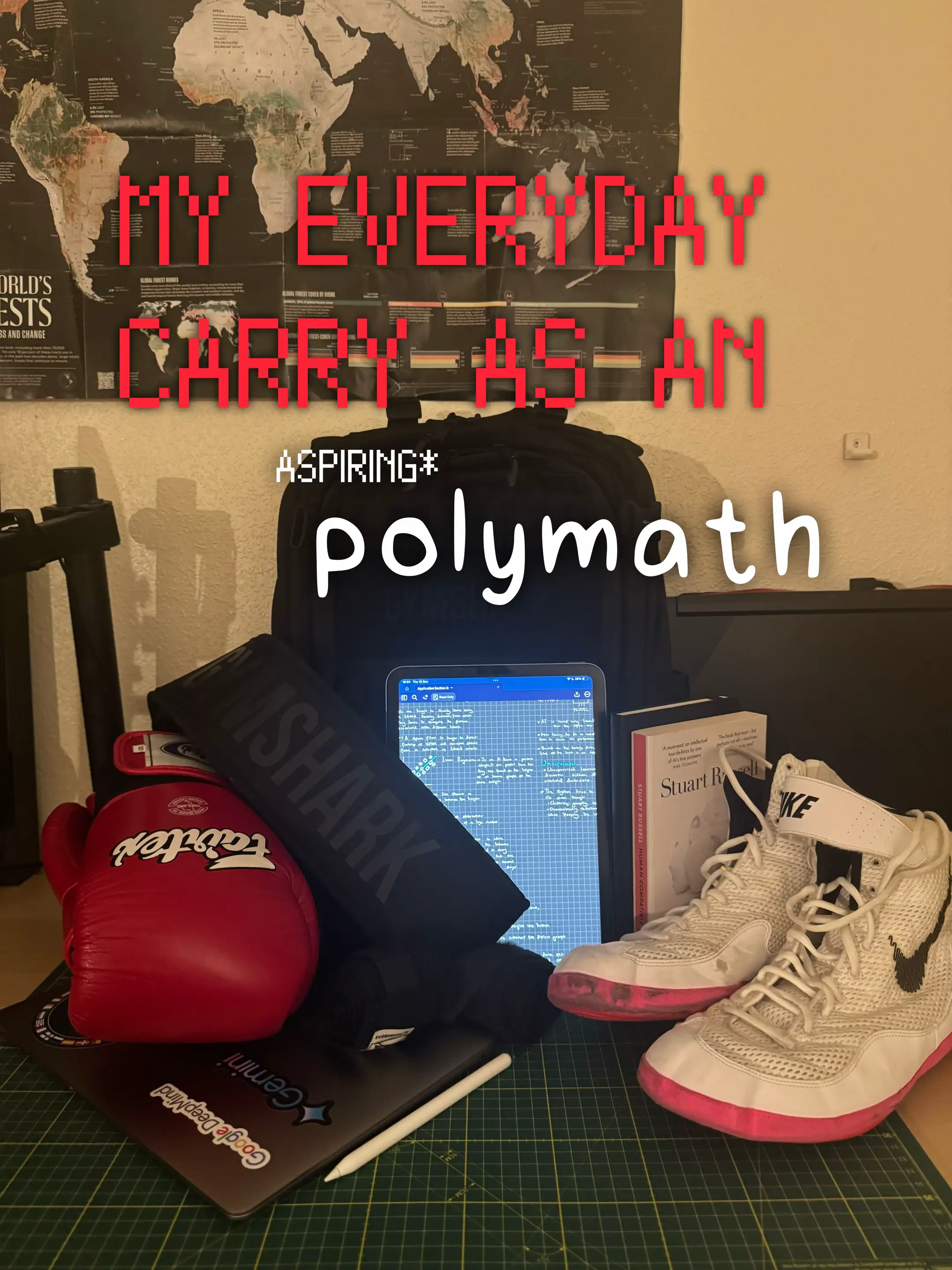 What I usually carry that allows me to learn different things everyday.  Disclai