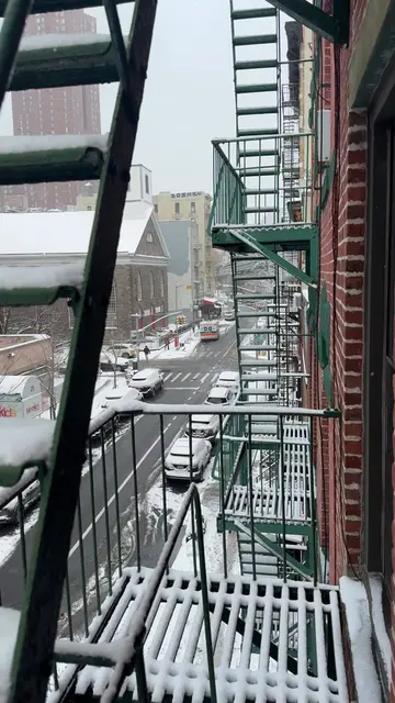 We love a snowy fire escape sit #nyc #snowday 