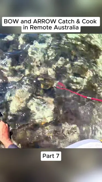 BOW and ARROW Catch & Cook in Remote Australia #B2BCastaways #fish #fypシ#fishing