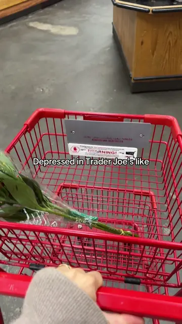 My drafts make me giggle #nichetok #traderjoes #houseplant #depressedtiktok 