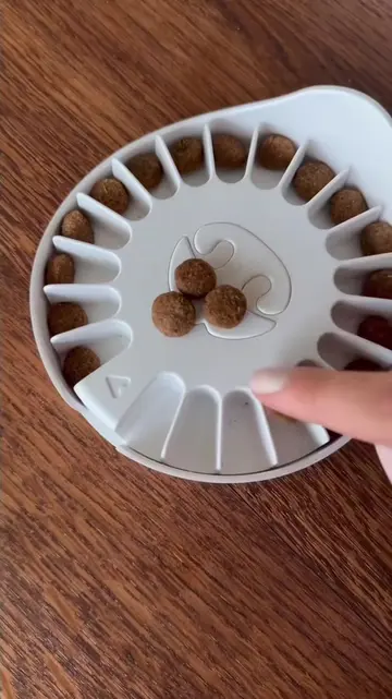 Louis can’t get enough of Go Dogo 😋 When playtime turns into one more round… an