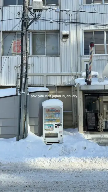 Can't get seasonal depression if you fly to Japan every January 🤝🇯🇵 #japantri