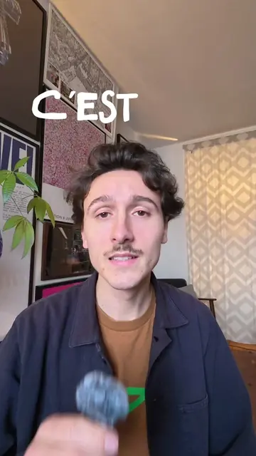 C’est quoi Mask R-CNN ? #code #aimodel #python #pytorch #detection 