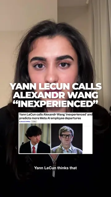 Yann LeCun recently called Alexandr Wang "inexperienced" in an interview with th