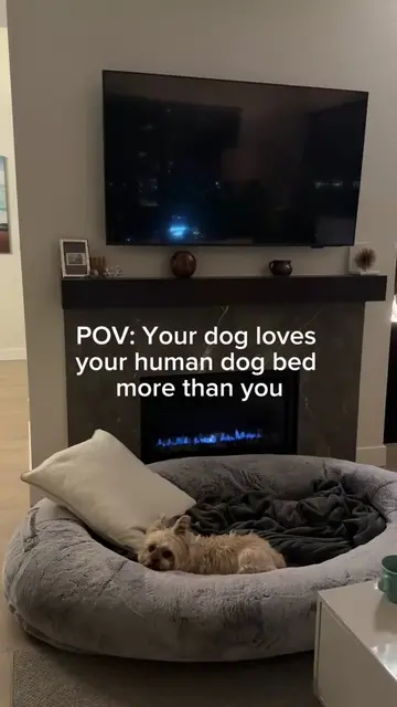 That little dog does NOT need all that bed 