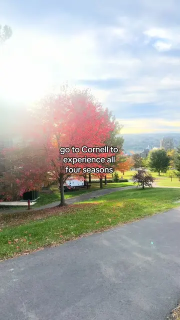 Experiencing all four seasons at Cornell ☀️ #cornell #cornelluniversity #college