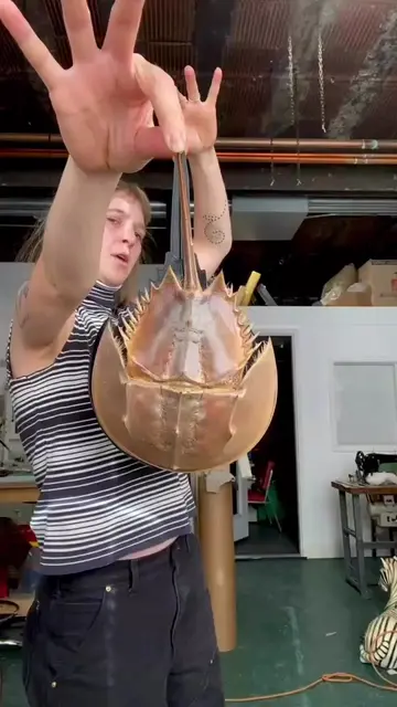 Custom black horseshoe crab hat #sublimeremains #horseshoecrabs #millinery 