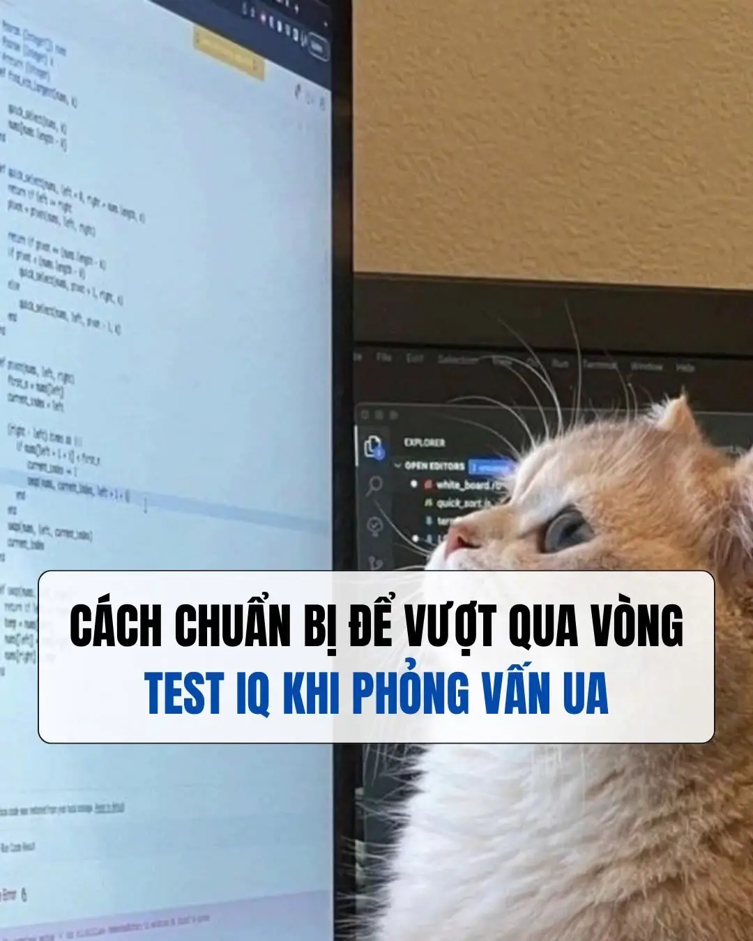 Với vị trí  Intern/Fresher hoặc Junior User Acquisition (UA), vòng test IQ/logic