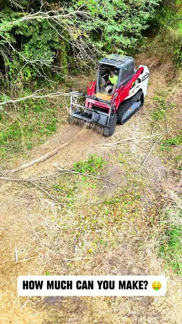 BUSINESS MODEL BREAKDOWN: Land Clearing & Forestry Mulching Land clearing and mu