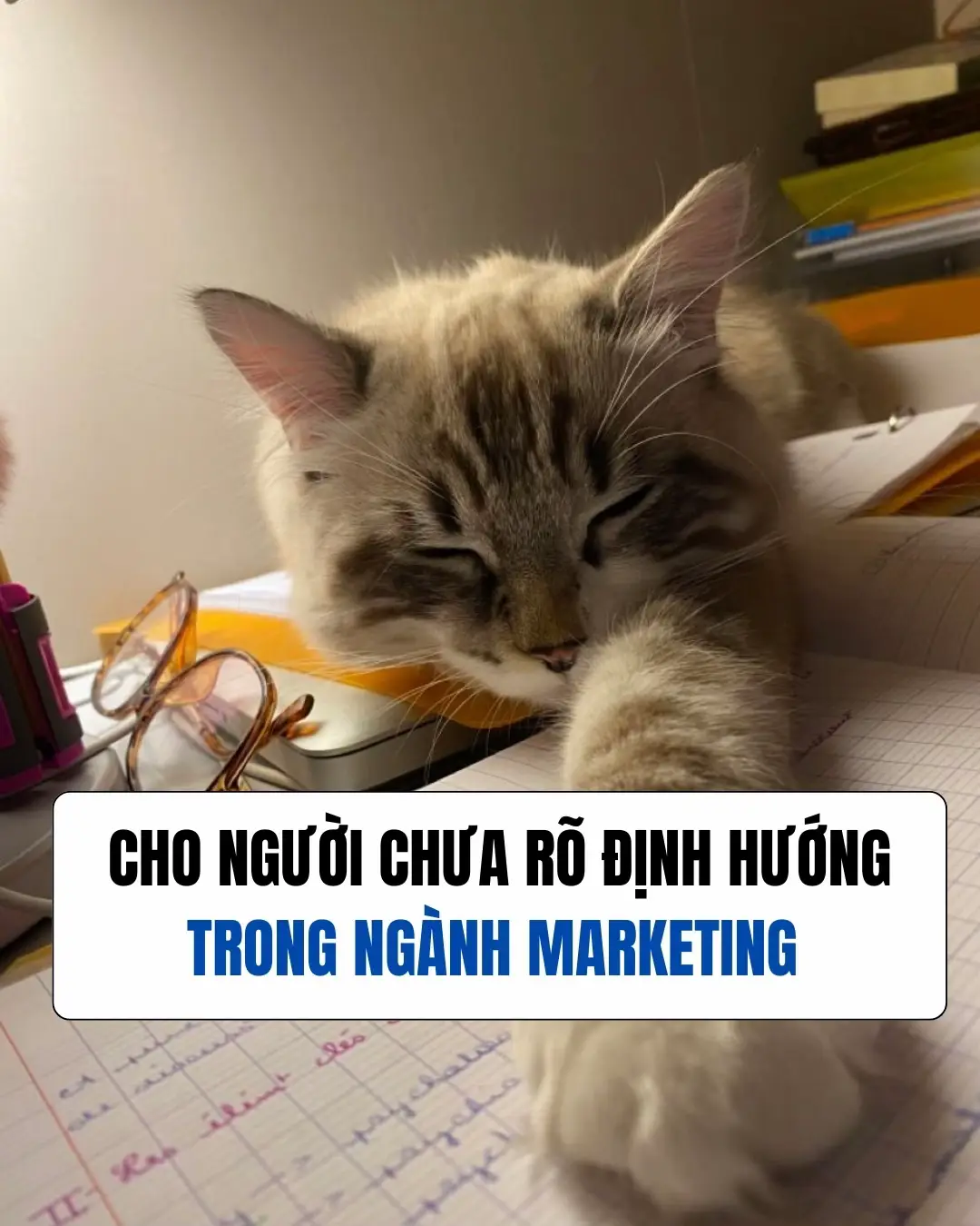 Dạo này nhiều bạn hỏi mình:”Muốn chuyển sang UA thì phải cần những kĩ năng/Kiến 