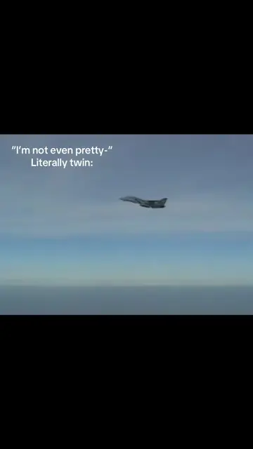 “Anytime, baby!” ✈️ #f14enjoyer #fighterjet #fyp #avgeek #twin