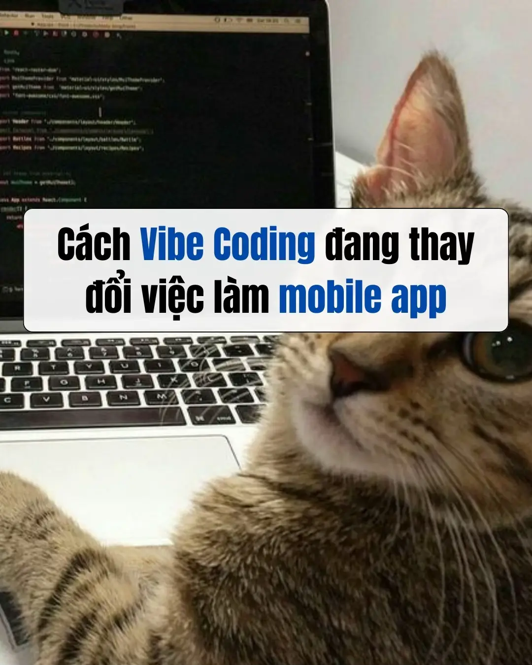 AI đang hỗ trợ rất nhiều trong việc viết code. Nhưng liệu nó có thể thay thế một