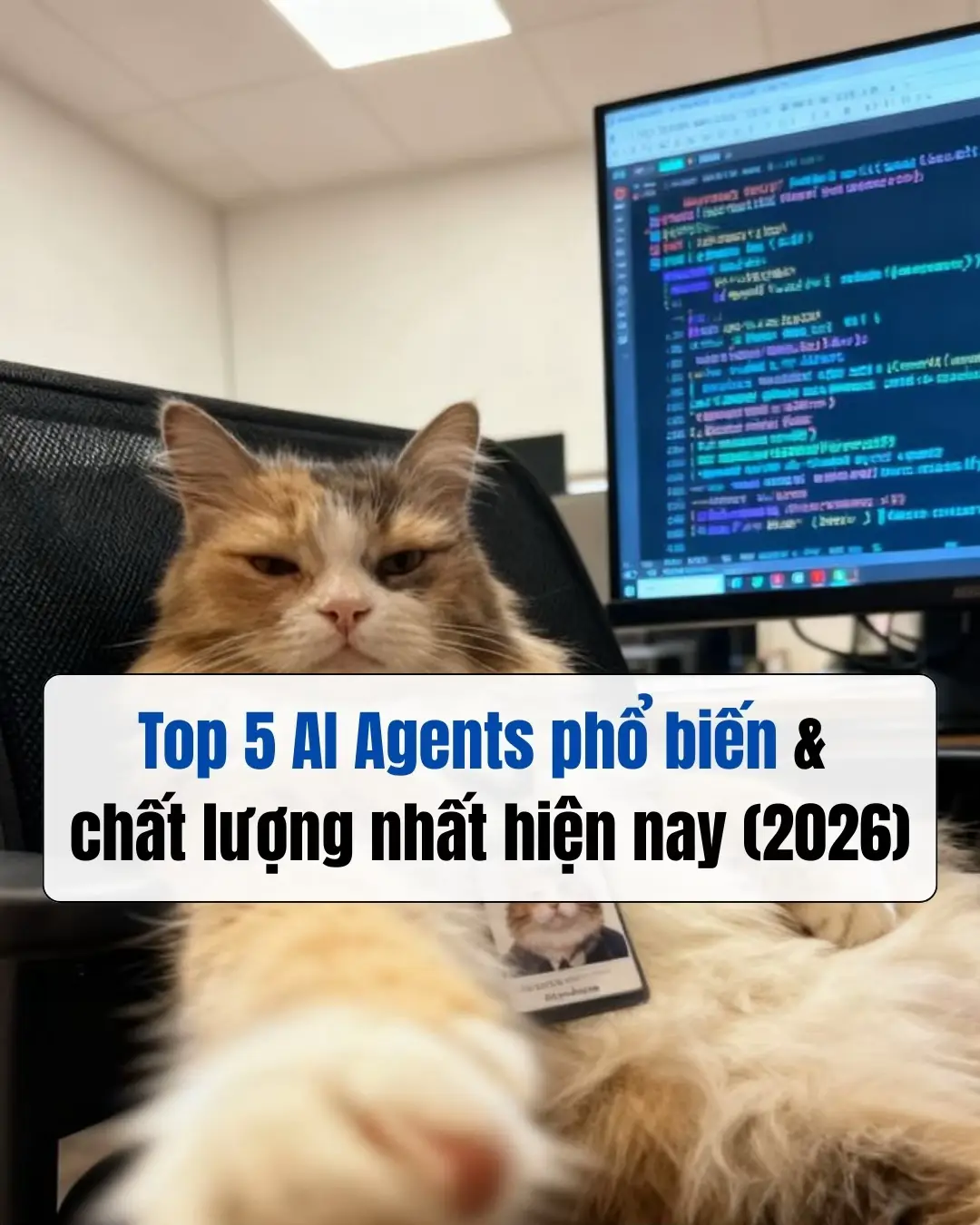 Còn mn thì đang dùng tool nào vậy cmt cho ad biết với nha 😁 #MobileAppMarketing