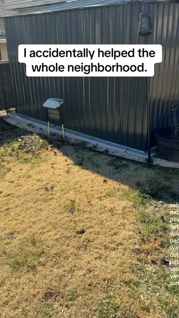 My neighbors might start thanking me this summer 😂 Solar powered, automatic at 