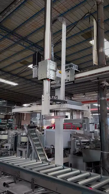 #Automation #GantryRobot #linearrail #PickAndPlace 